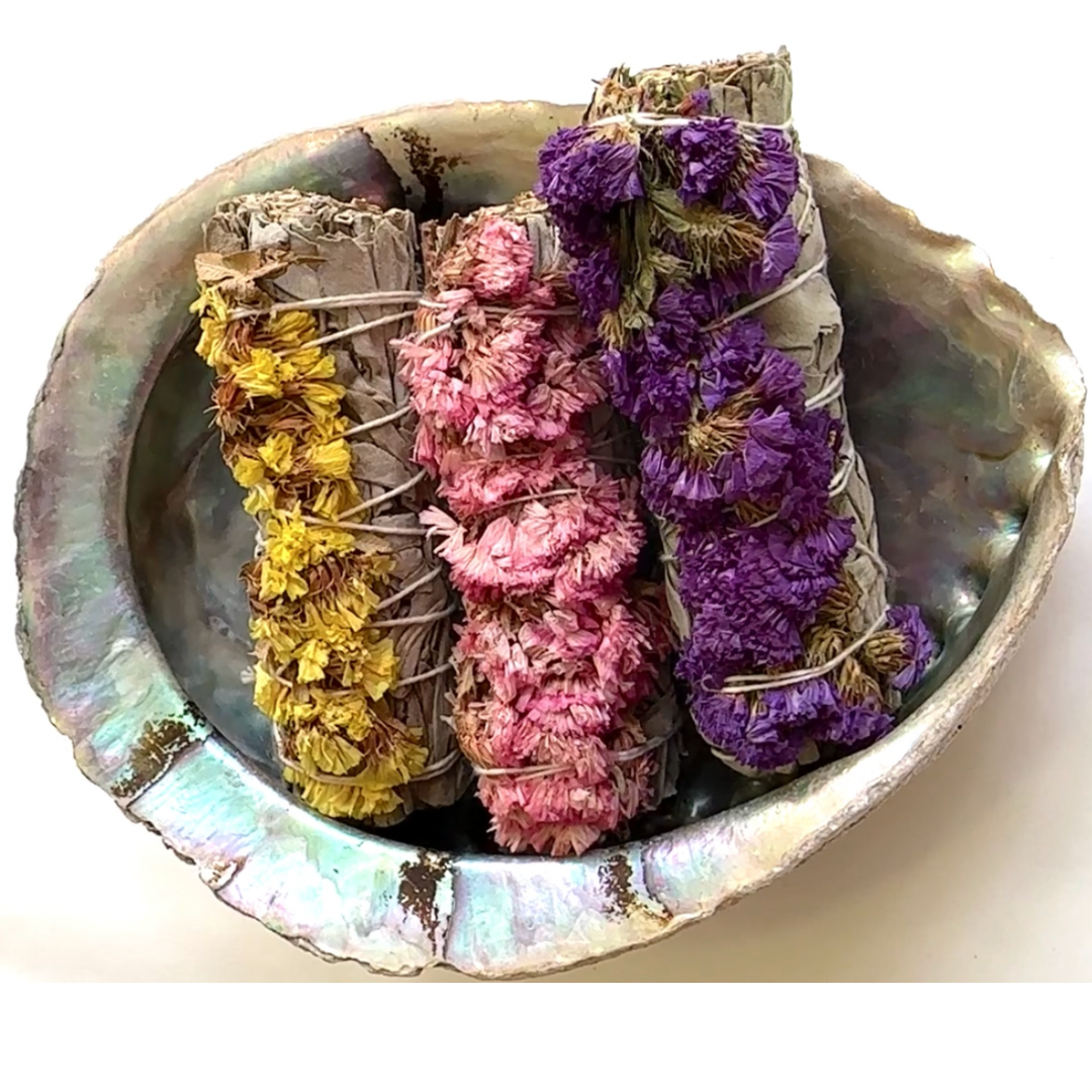 XXL-Abalone-Muschel