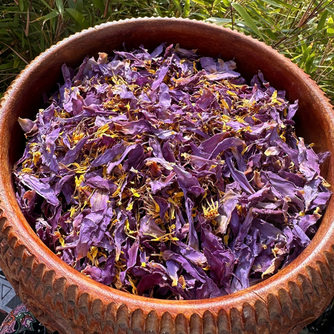 Blauwe Lotus (15 gram)