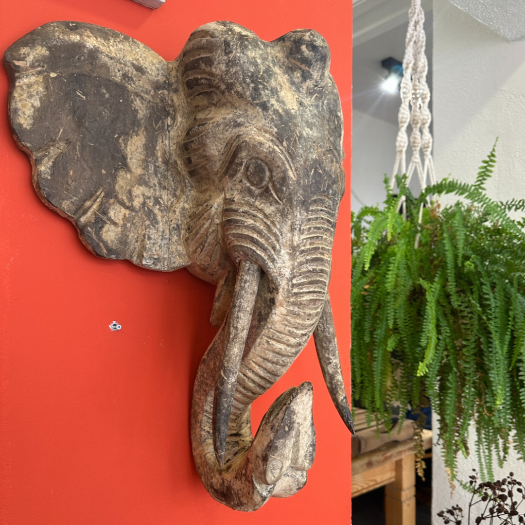 Elefant