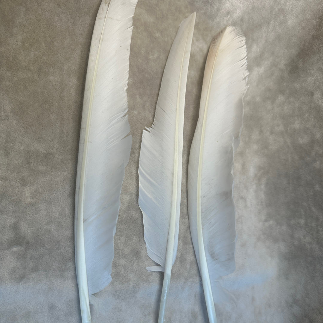feather