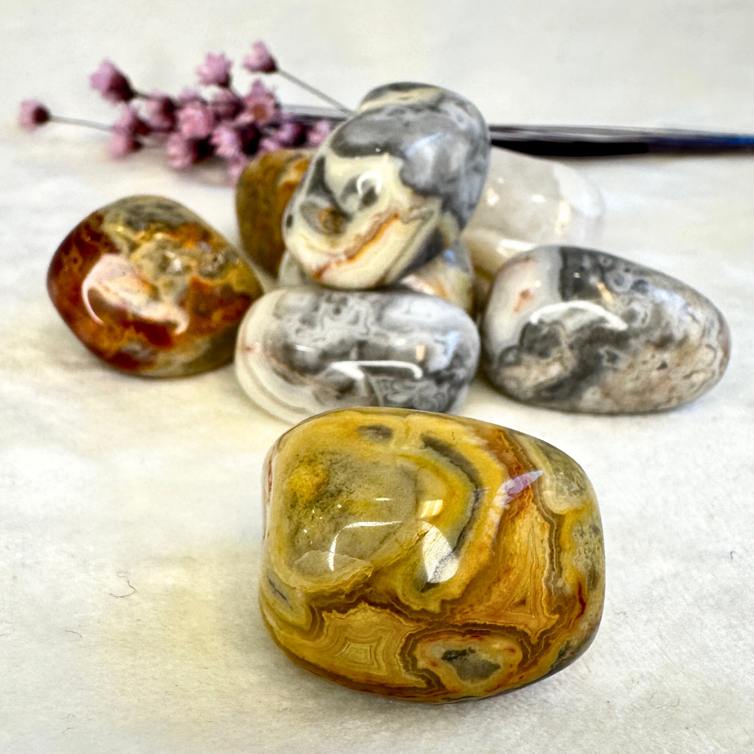 Crazy Lace Agate pocket stone