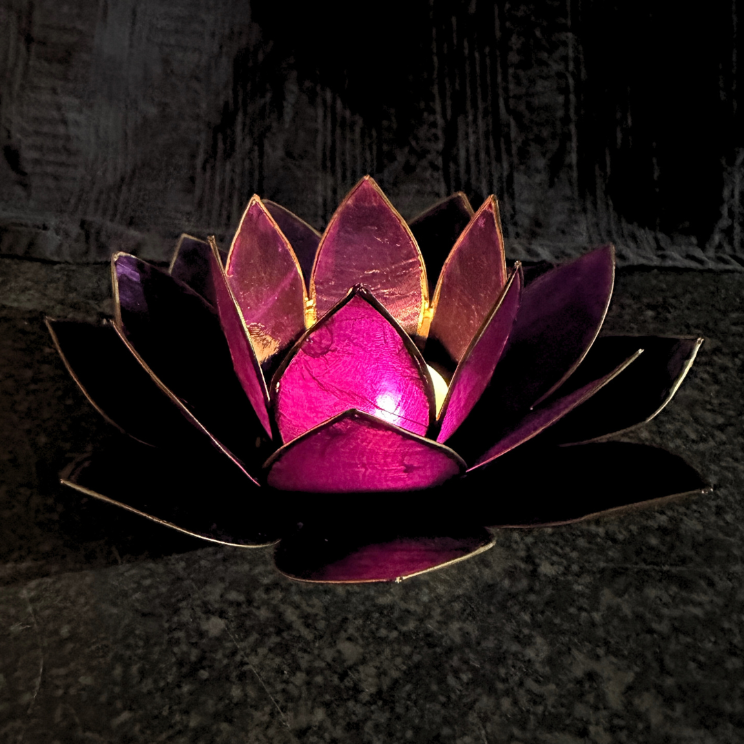 Lotus theelichthouder Violet