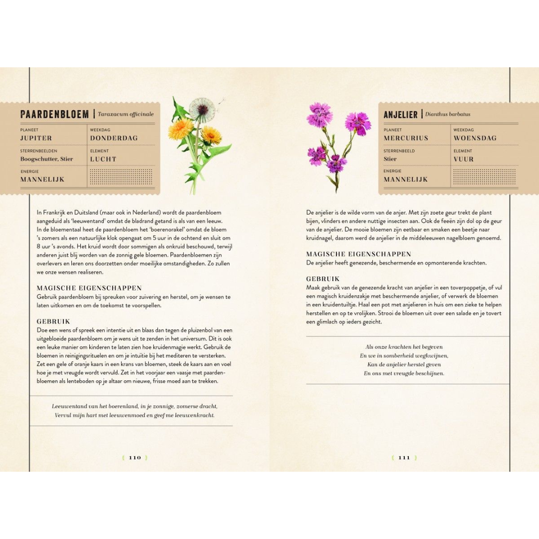 Magic of Herbs