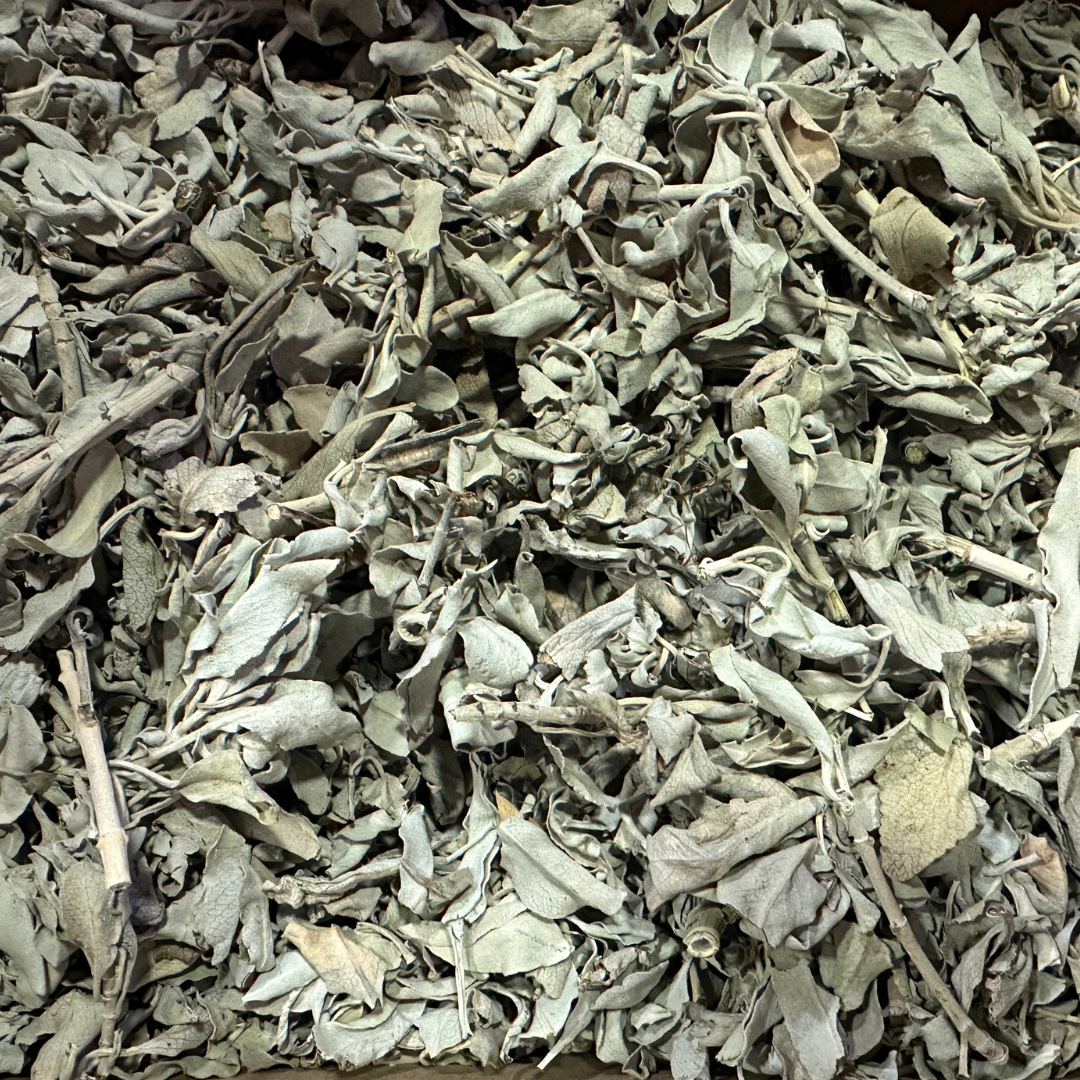 Witte Salie (Salvia Apiana)