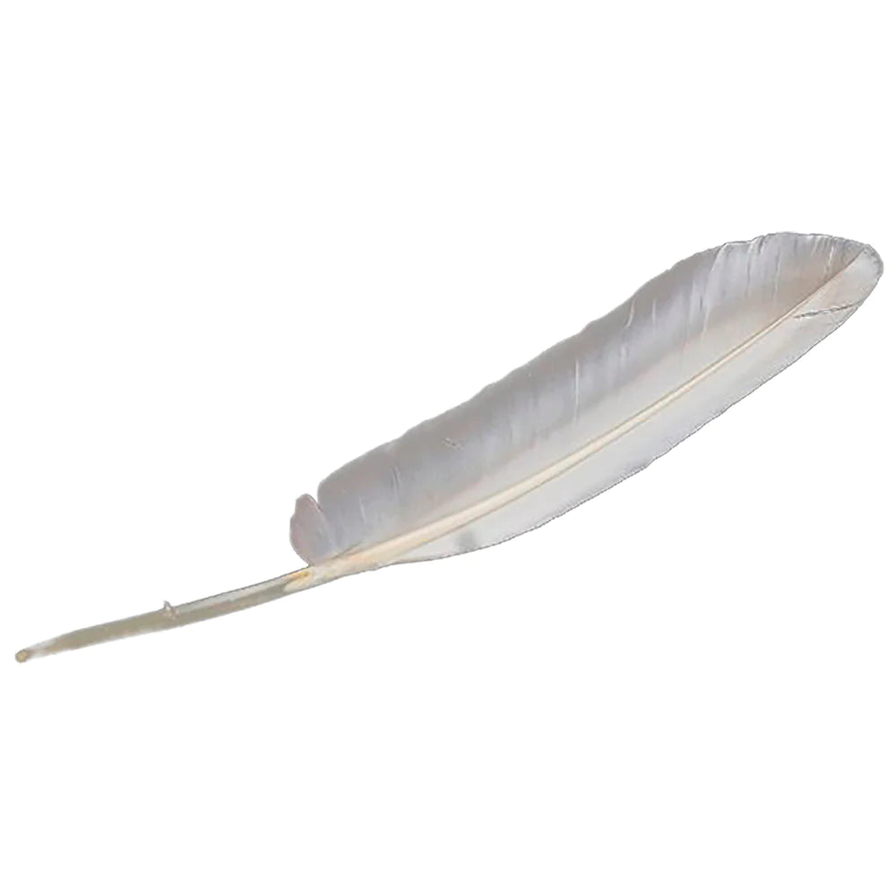feather