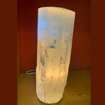 Selenite tree trunk lamp