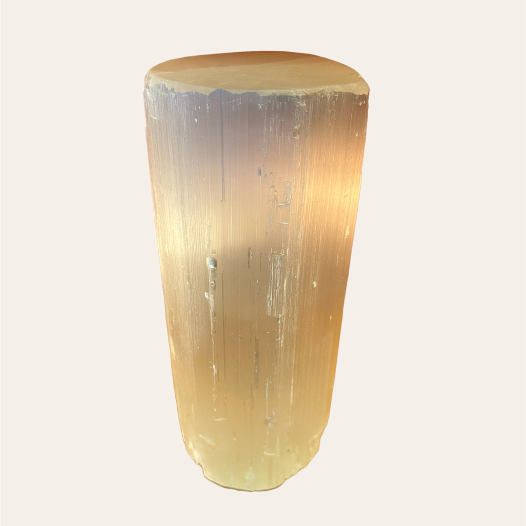 Selenite tree trunk lamp