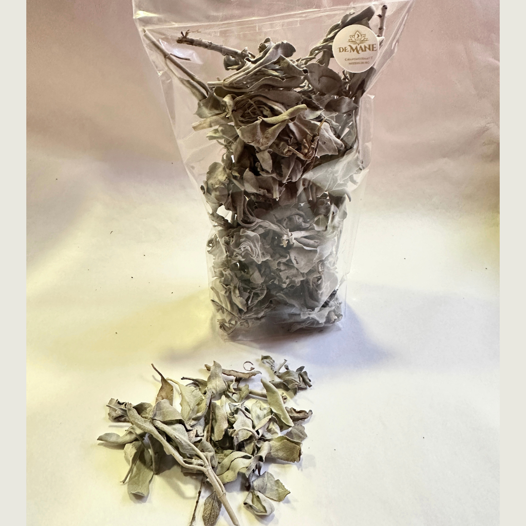 Witte Salie (Salvia Apiana)